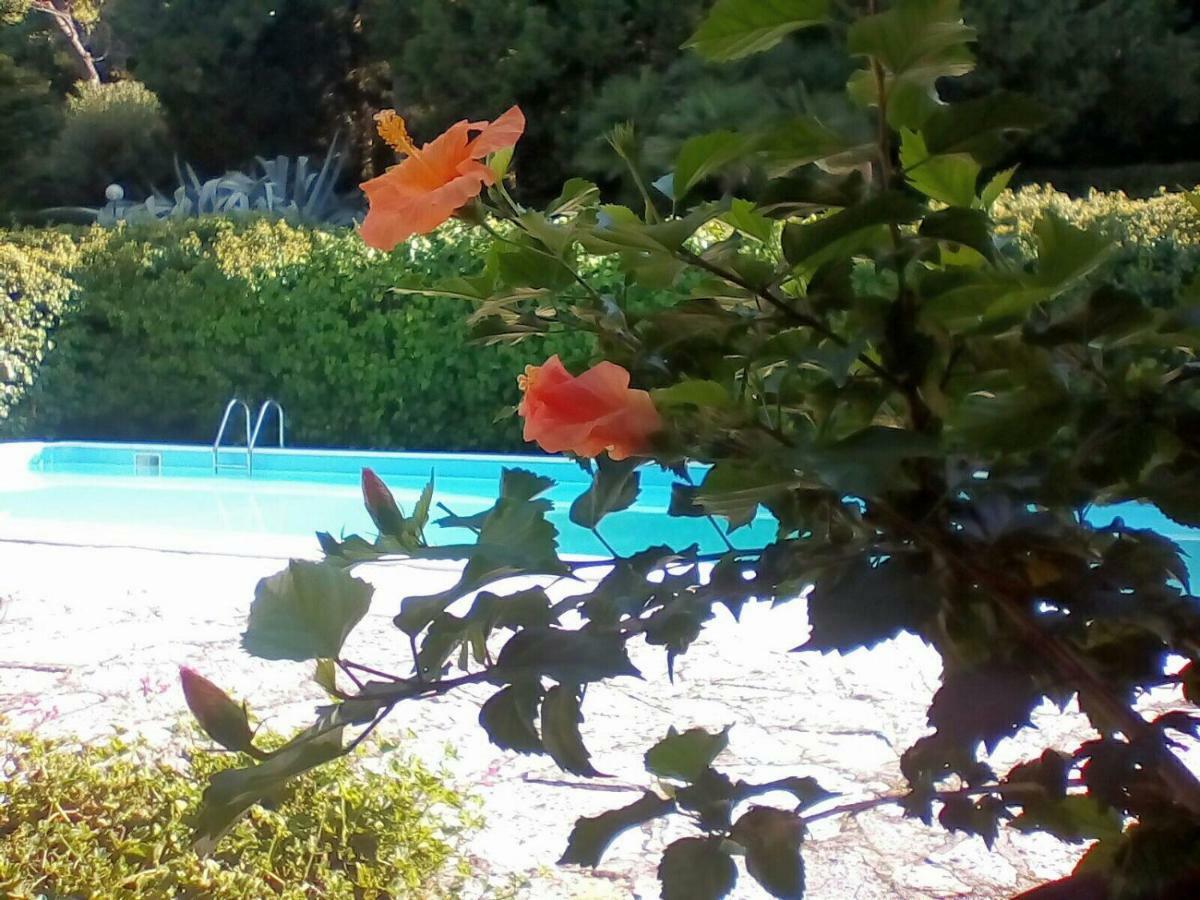 Villa Dall Acqua Pesaro Exterior foto
